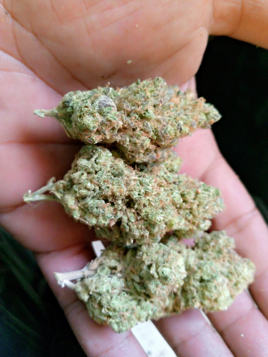 GreenButcherTH's tweet photo. Bruce banner
100g 
All day 5500
Indoor airco led https://t.co/VZAcVsG3Mb