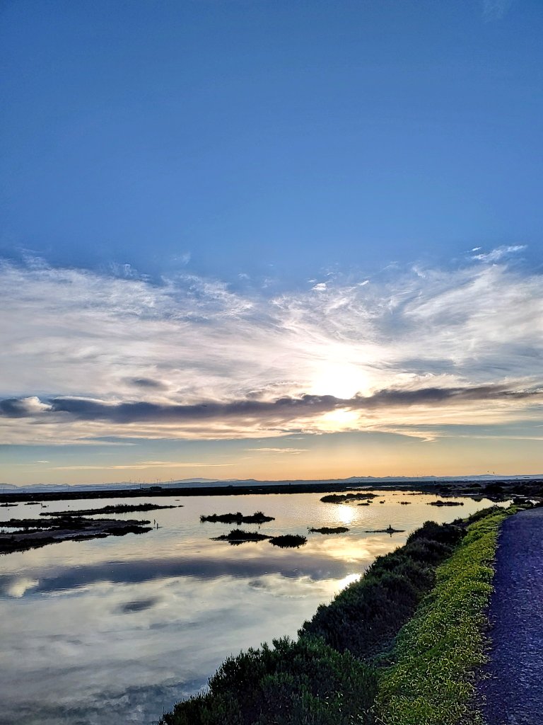 Maribe 🐶🌊🐈💚 tweet media