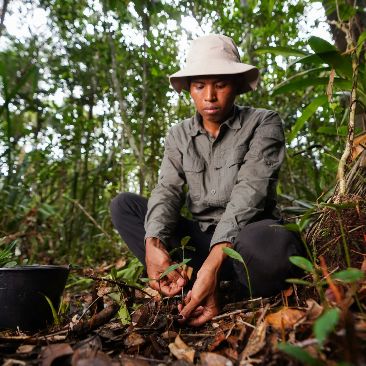 #didyouknow that today is Forester's Service Day?
From safeguarding landscapes with active measures against illegal activities to actively restoring the forest through #planting and canal blocking, RER actively #protects and #restores the #forest.