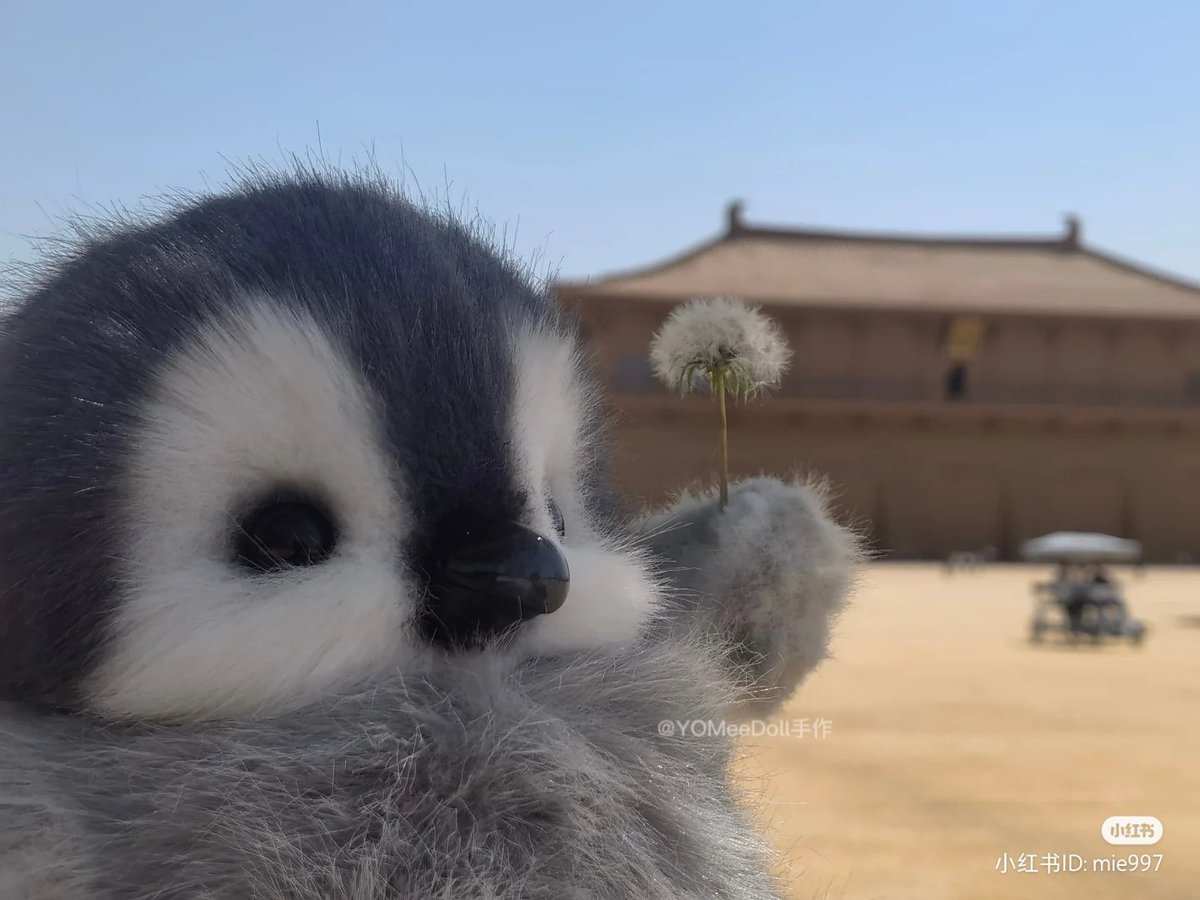 lovesickdoe's tweet image. dandelion for you