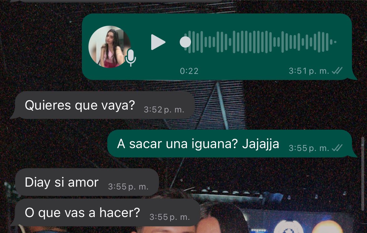 Que saben ustedes de maes que resuelven?
  *le dije que se había metido una iguana*
