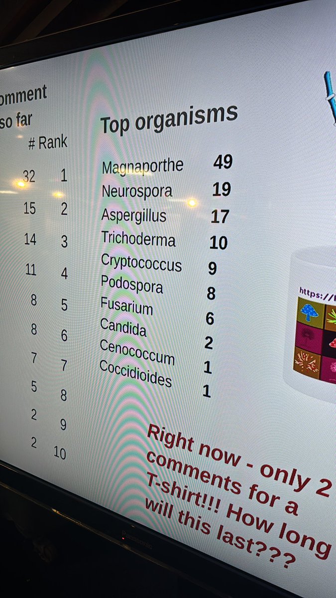 Magnaporthe is in the lead. Neurospora just beat Aspergillus!!! #fungla24