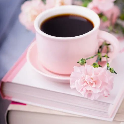 Excellent! lexia925 just sent Me cup of coffee ☕️💕 on Throne!  🎁💸➡️&hearts;️✨ Find the 🔗👀 You can do it. https://t