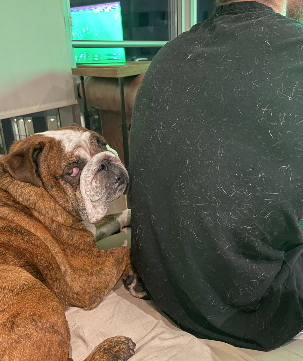 Se busca al sospechoso de este desastre