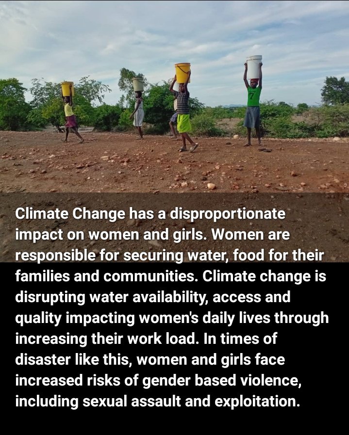 Alfred Mwamba Towo tweet media