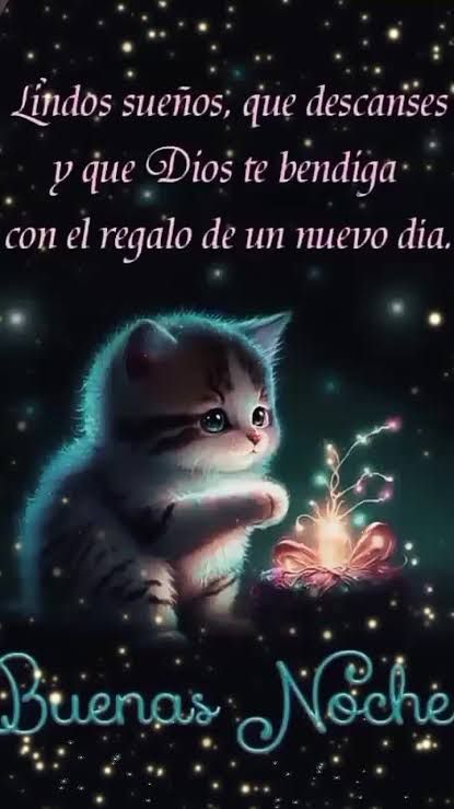 Buenas noches descansa 😇💤💤