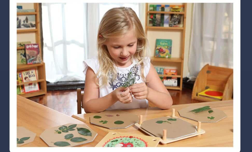 Unleash your kid's inner scientist with Stylus Kids' Eco-Friendly Flower Press Kit 🌼! Perfectly sized for little hands, this wooden science toy promises endless fun and learning. Ready to explore? Click here: shortlink.store/mvtp5nnogsxv #ScienceToys #EcoFriendlyLearning