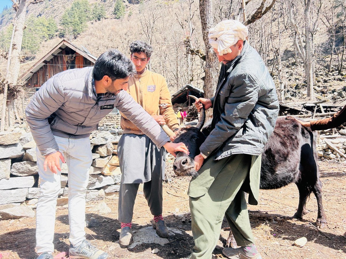 AkhtharShayia's tweet photo. #IndianArmy reaches out to #GujjarBakkarwal community in #Kishtwar. Medical & Veterinary Camp organised at Gujjar Kohan village in #Dacchan benefits locals and their livestock.
#BadaltaJK
#SmackDown
#WPL2024
#EcoFriendlyHoli
#AbseMobiKwik
The Rock
Ryan Reynolds
Gohan https://t.co/do6Ro1OKec