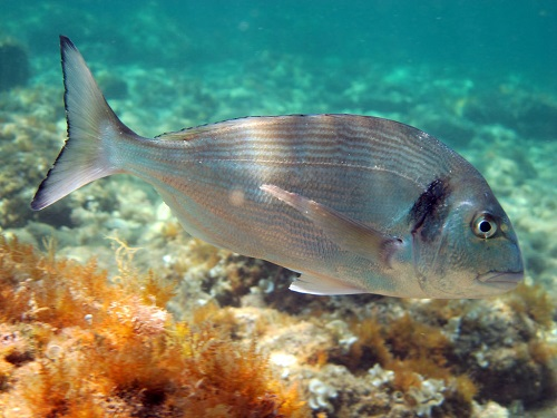 luciana medina tweet media