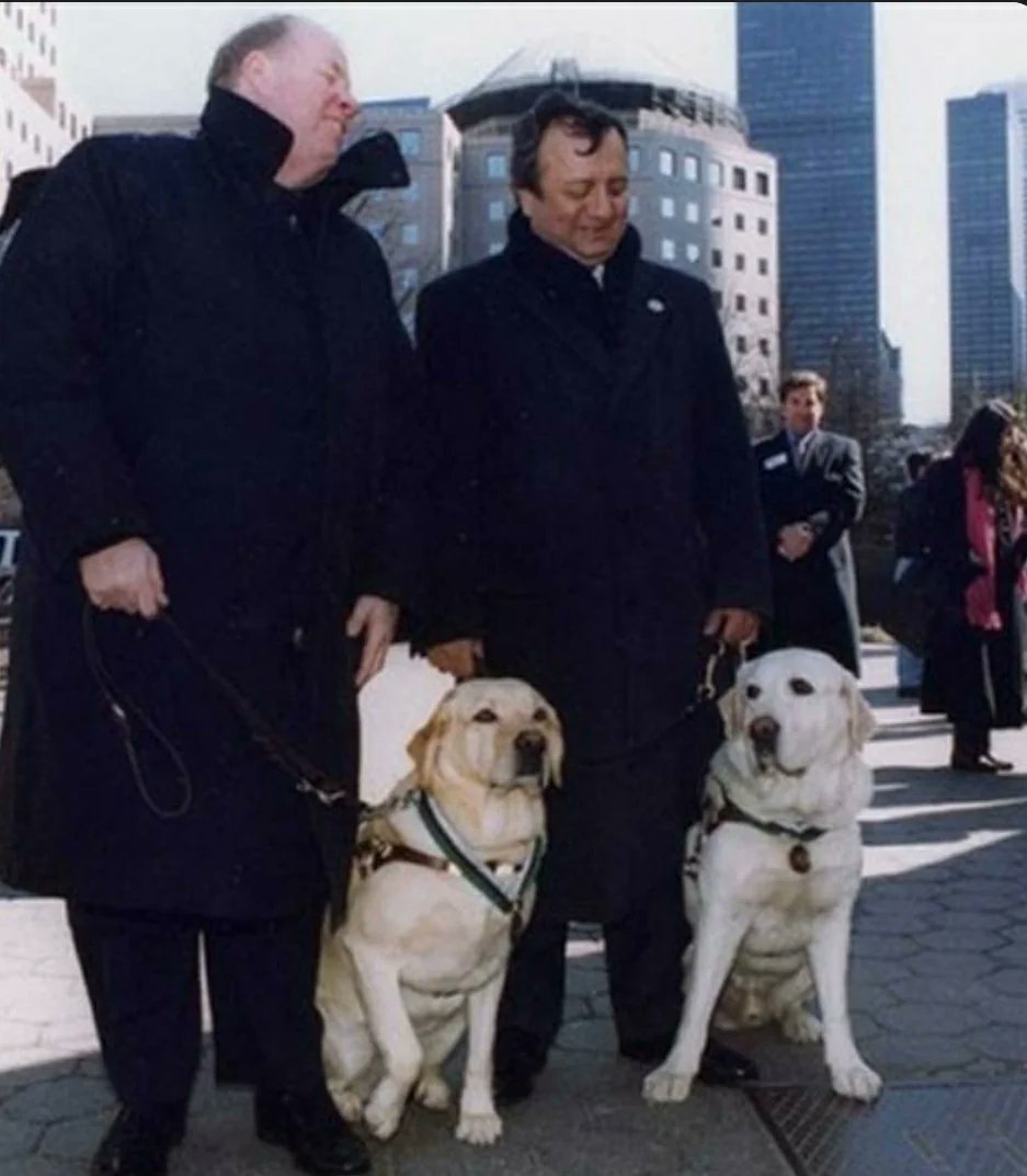 #NeverForget: Guide dogs Salty & Roselle, heroes on 9/11!  🦮dogwithblog.in/the-amazing-st…

These incredible pups led their blind owners safely out of the World Trade Center, earning the prestigious Dickin Medal for their bravery. #GuideDogs #ServiceAnimals #Heroes