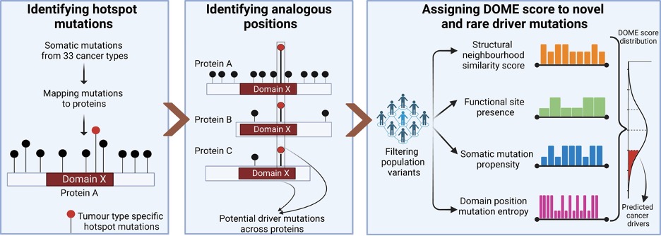 Pleased to share the dev' of DOME by @desaisanket12 and team! Thanks @NAR_Cancer_EIC & @ACTREC_TMC. This powerful comput'l framework identifies potential driver mutations, advanc'g personalized cancer therapy with emphas' on VUS ! @CRI_ACTREC @UnivofDelhi academic.oup.com/narcancer/arti…