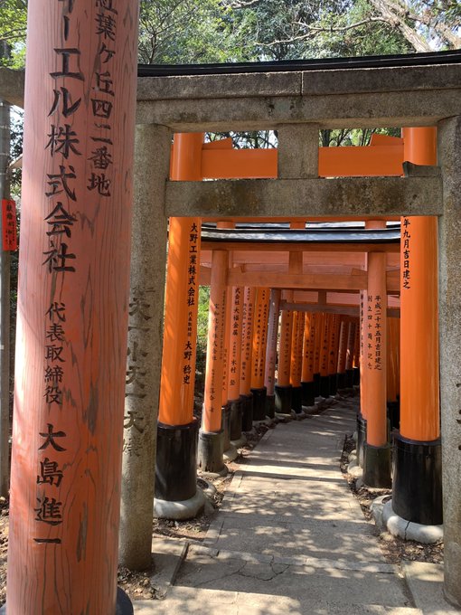 Fushimi Imari Taisha temple. Took like 3 hours to walk the entire thing but it was totally worth it.