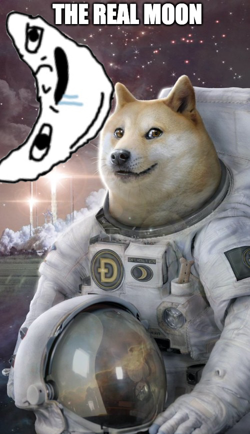 Doge has told you what the real moon is!!!!!!!!!!!!!!!  

Spread #IQ50 including #IQ50 hashtag and Solana address. Add 🤪IQ50 to your Twitter name.  

We'll randomly distribute #IQ50 airdrop to promoters Every Day!!!!!!