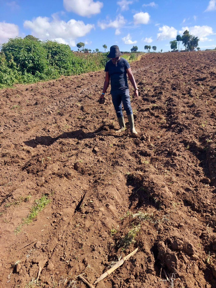 jazzkuria's tweet photo. #MissionAccomplished
#SyntropicAgroforestryPilotProject https://t.co/13BK0yy8Tv