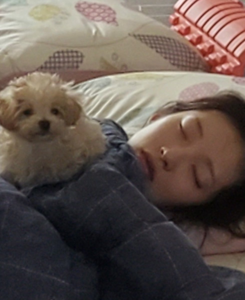 누누 tweet media