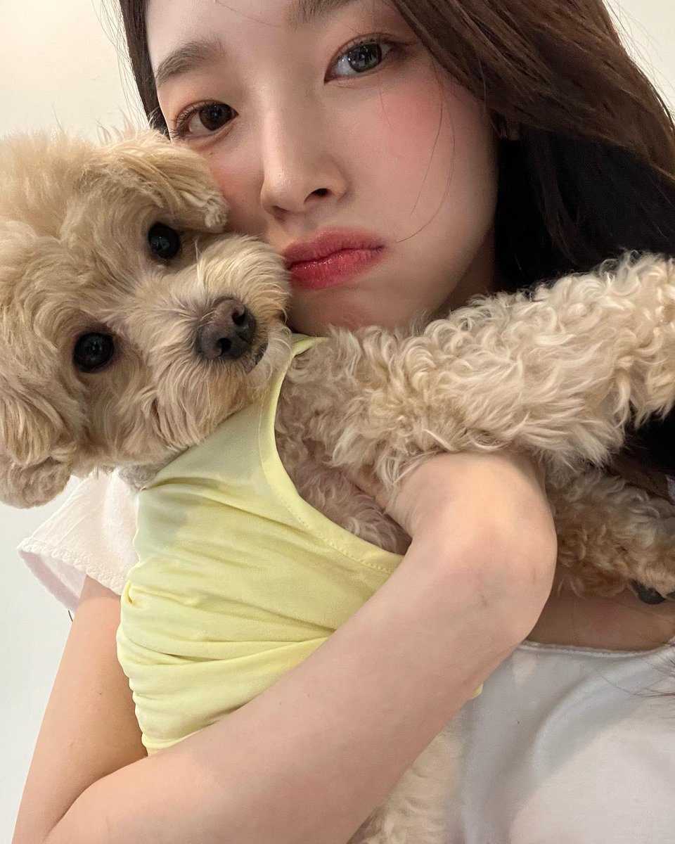 누누 tweet media