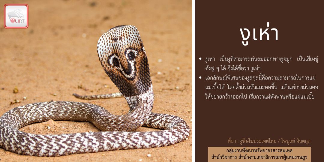 คลังสารสนเทศรัฐสภา tweet media