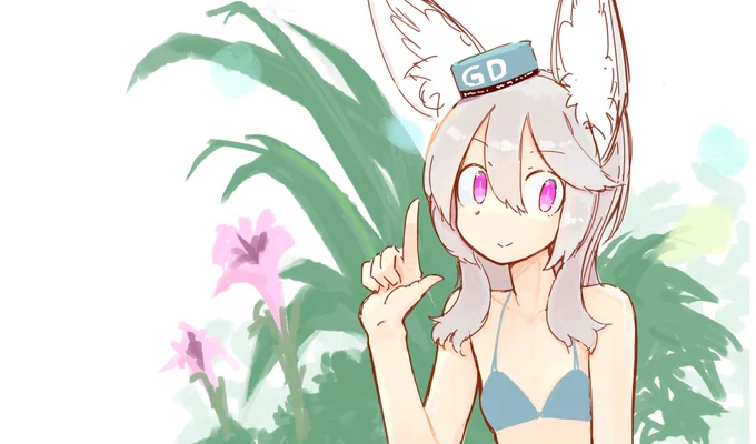 kemomimi 