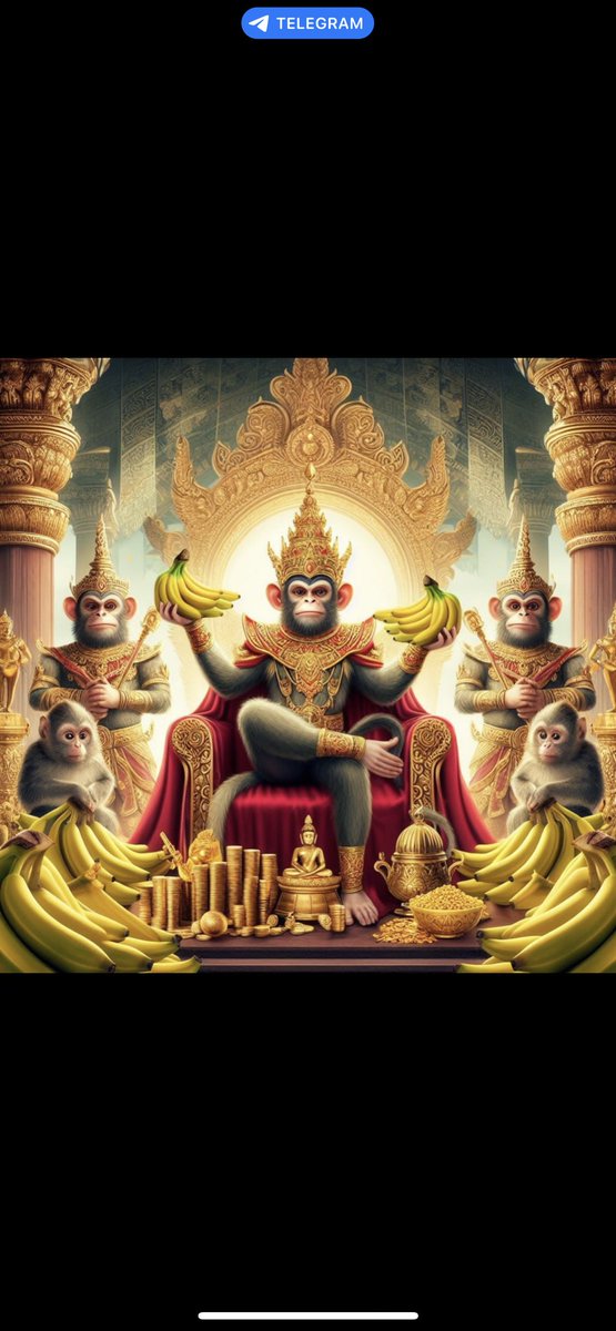 doncryptoking42's tweet photo. @CryptoWendyO Because it was destine for you to get into #MONKEY on Sol https://t.co/aDE5PSSlI2