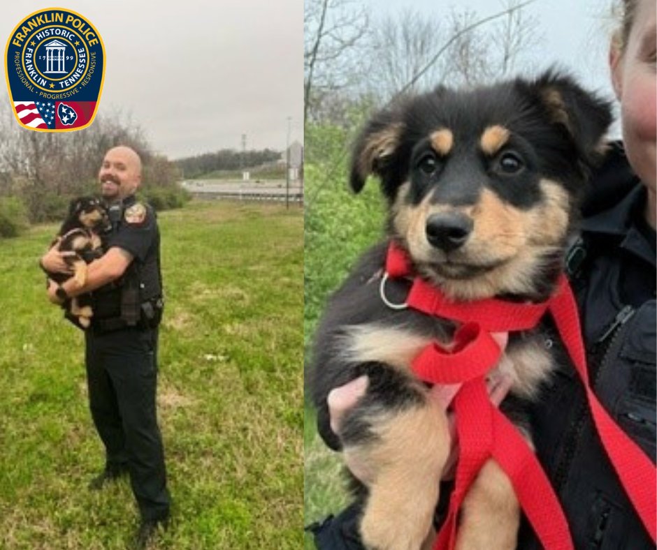 Franklin Police Department tweet media