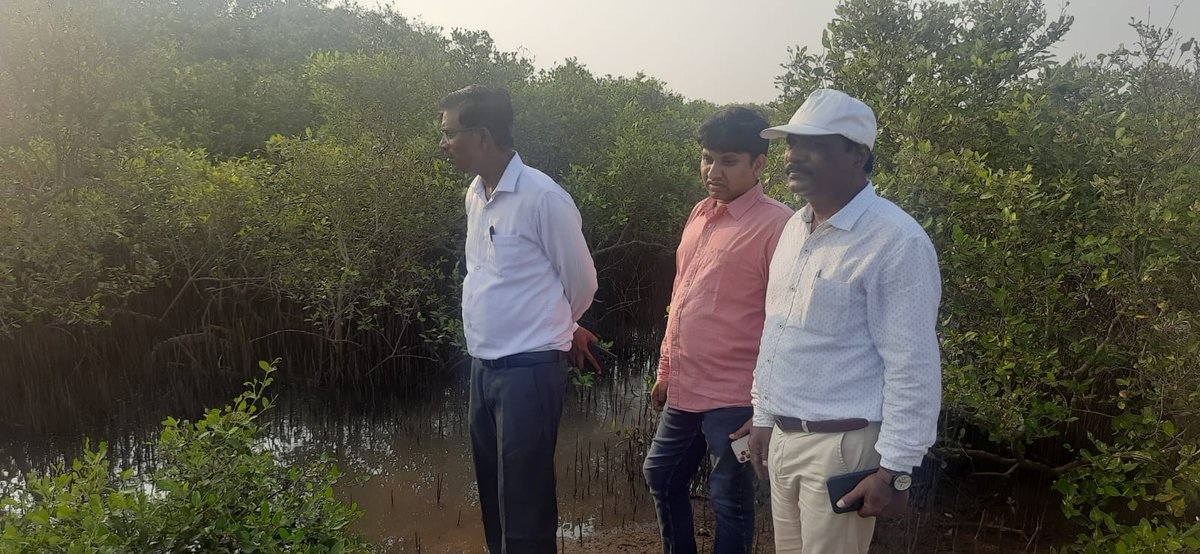 Andhra Pradesh Environment & Forest Department tweet media