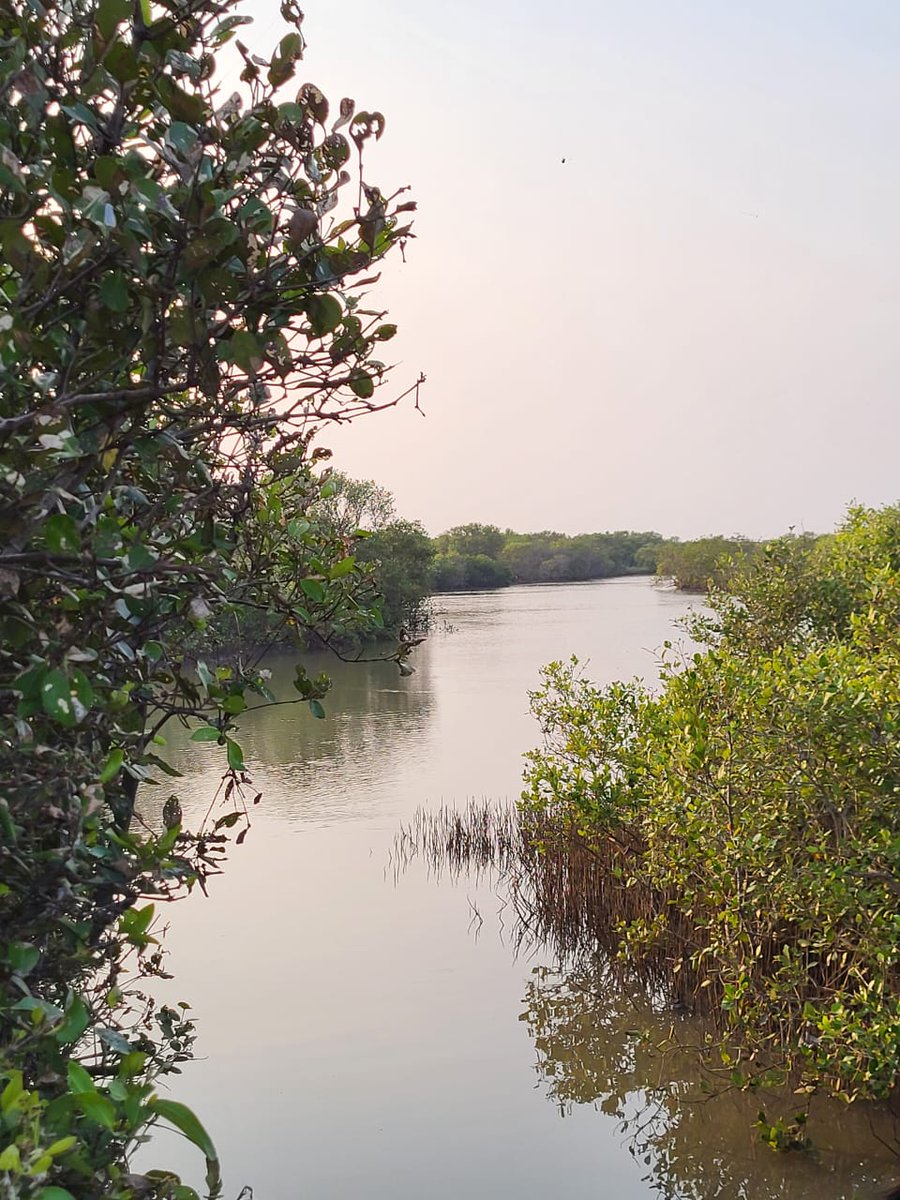 Andhra Pradesh Environment & Forest Department tweet media