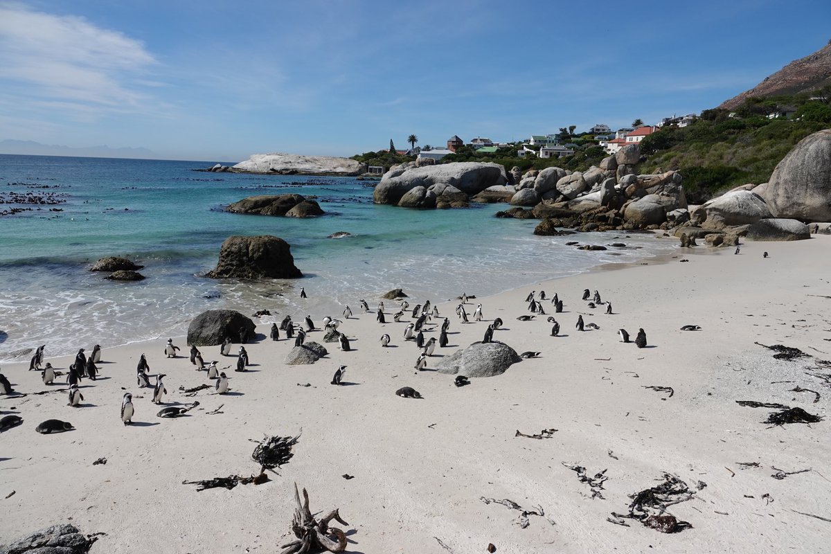 Sarah Quinn tweet media