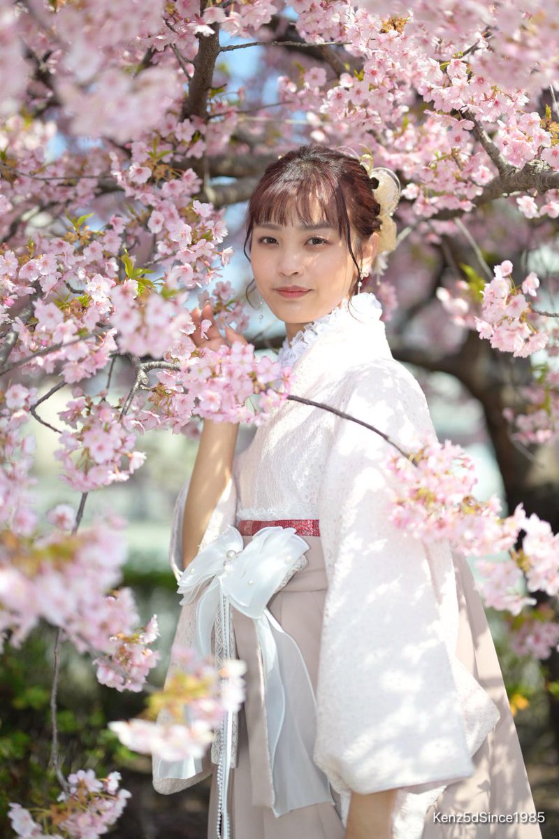 intoshell's tweet photo. 撮って出し
 Z9の新ファームにある「美肌効果」標準で撮影。
作例も兼ねて出すので、カメラ名を出します。
Model 鈴珠（@suzu_primavera ）
プリベラ撮影会（@primavera_photo ）
#50mm 
#河津桜 
#中書島 
#卒業 
#卒業おめでとう https://t.co/2ADFO9I4N0