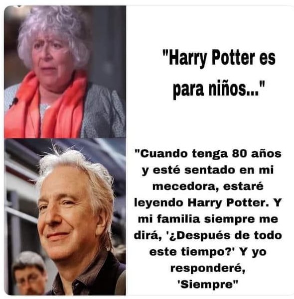 Dos maneras muy distintas de ver Harry Potter