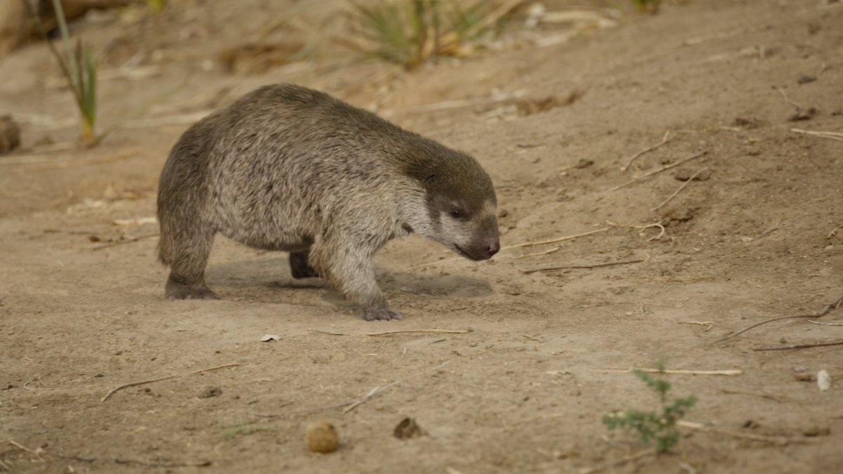 Juan Yu See #FreePalestine tweet media