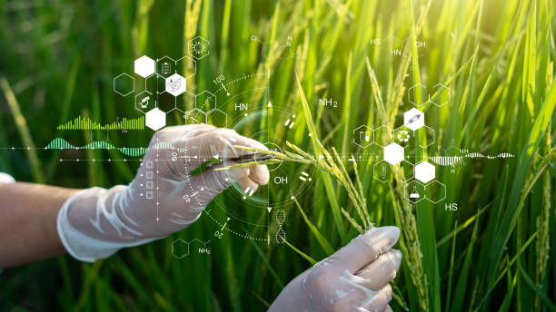 #Agricultural science is a multidisciplinary field that encompasses various aspects of crop production, livestock management, soil science, plant genetics, agricultural #economics, and sustainable farming practices. #Crop #soil #science #Agronomy #agroecology #Agribusiness