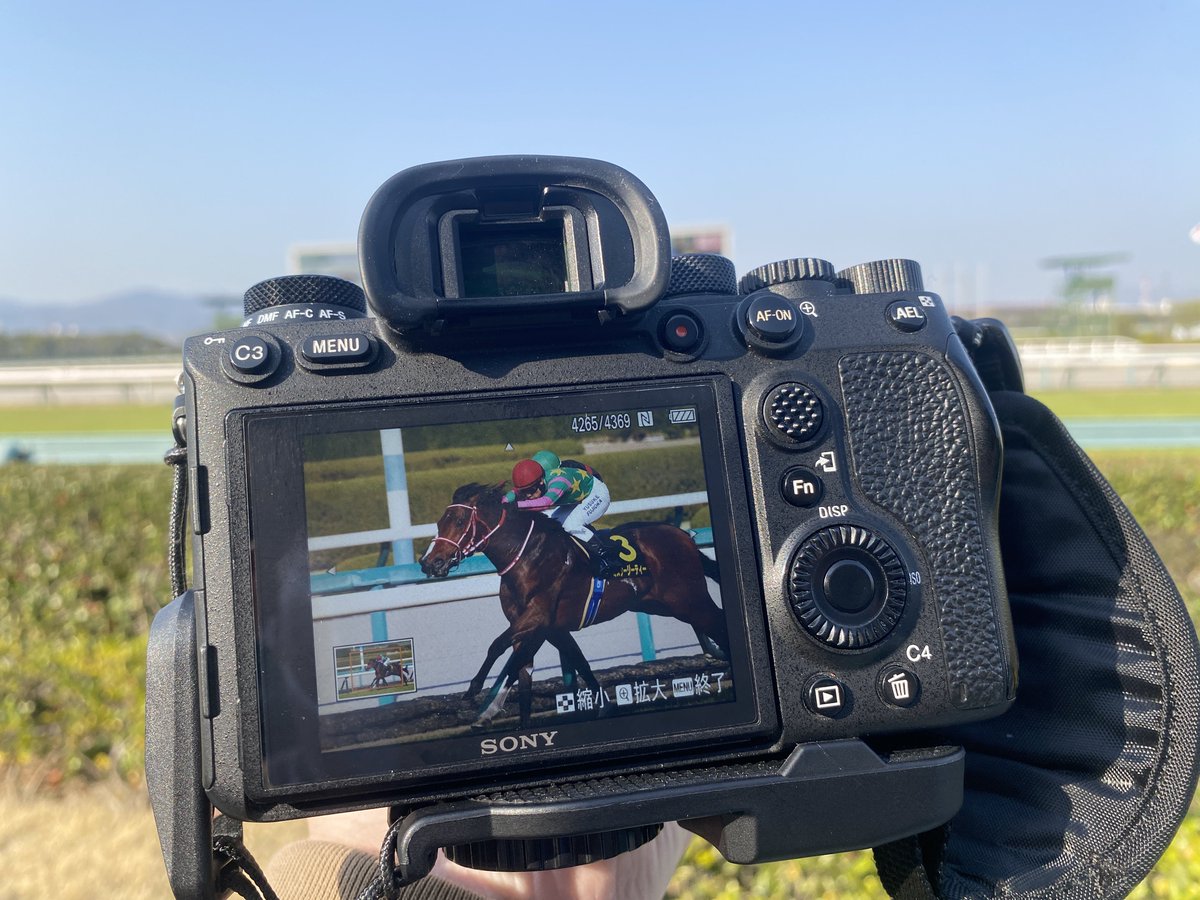 studio_clamai's tweet photo. #ミスタージーティー おめでとう‼︎次は皐月賞!!
#MrGT
#阪神競馬場
#阪神11R
#若葉ステークス https://t.co/2hKKNjSHLR