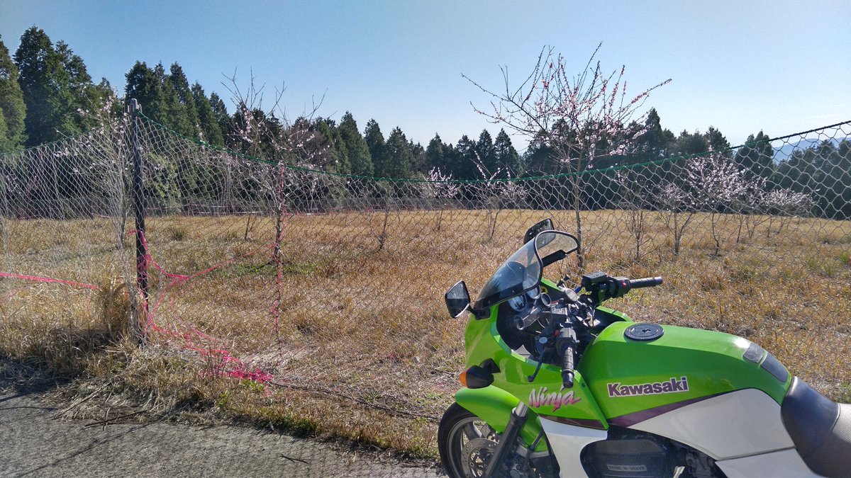 Ninja908aomon tweet picture