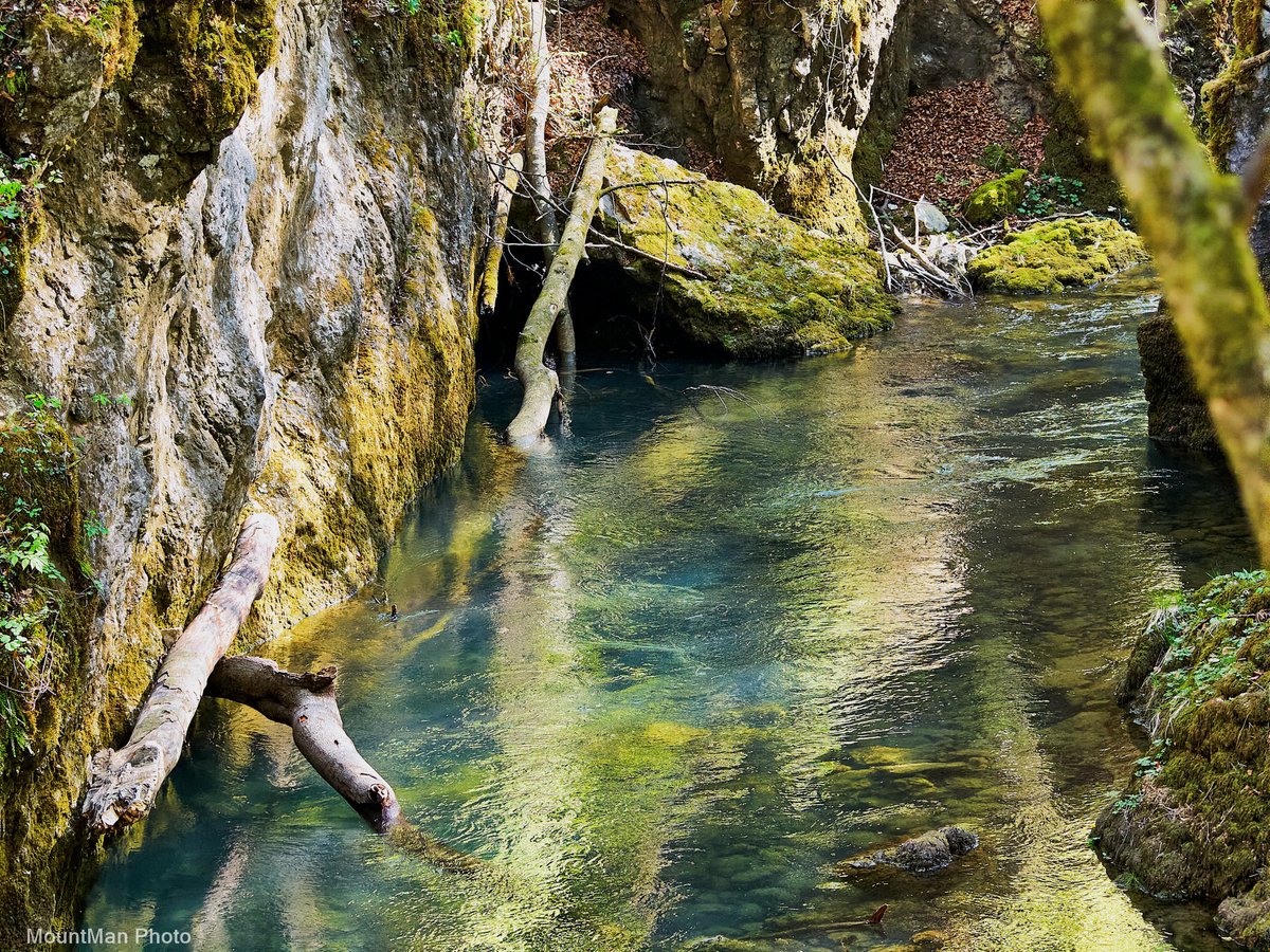 StjepanStimac's tweet photo. Kanjon i potok Kamačnik
#kamačnik #kanjon #potok #vrbovsko #gorskikotar #photography https://t.co/w722H5mpth