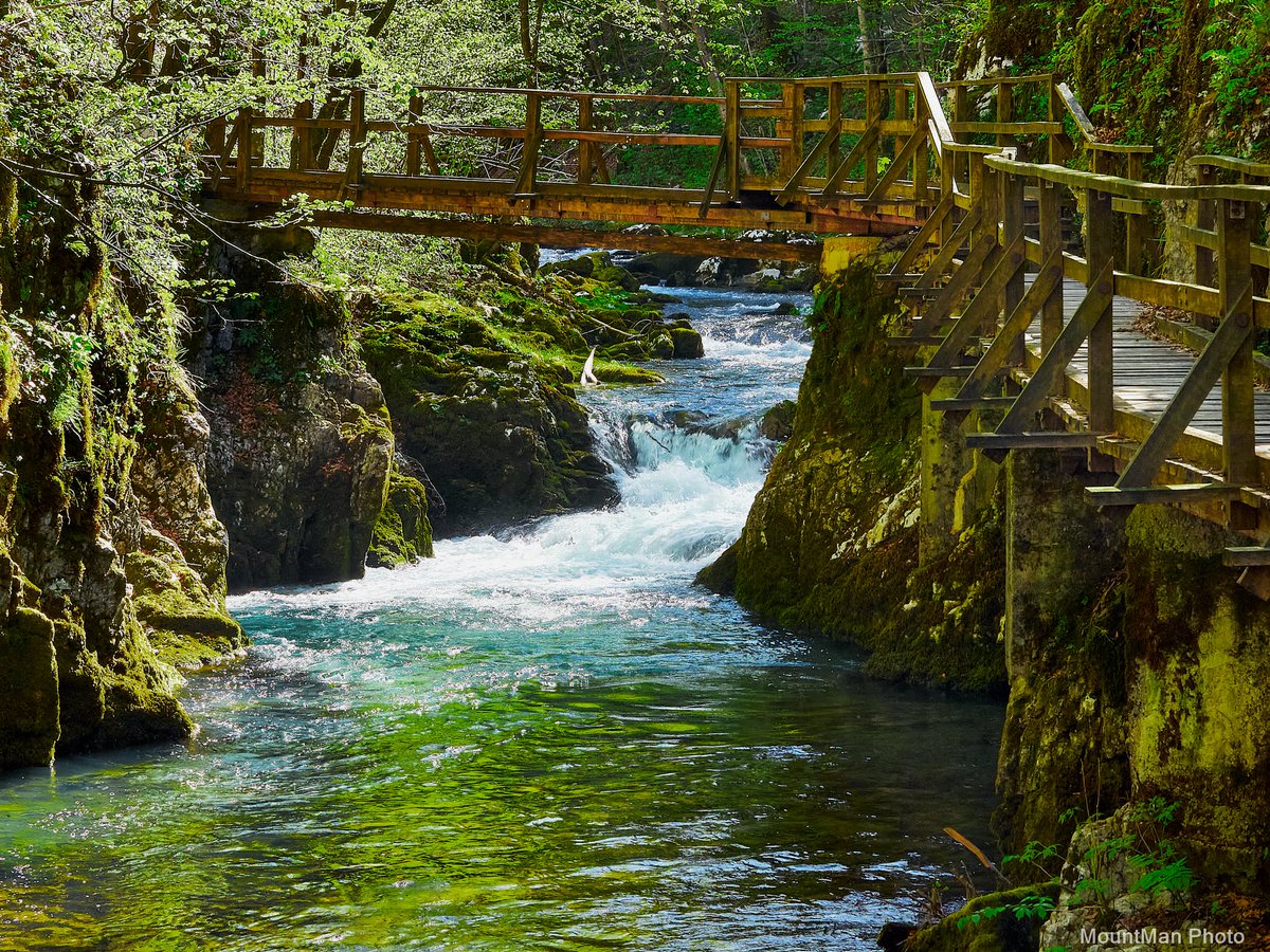 StjepanStimac's tweet photo. Kanjon i potok Kamačnik
#kamačnik #kanjon #potok #vrbovsko #gorskikotar #photography https://t.co/w722H5mpth