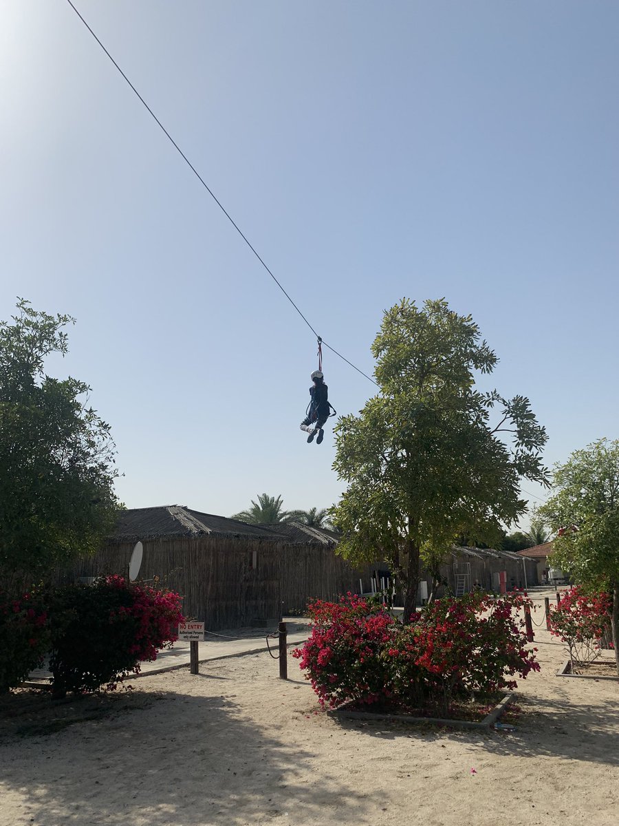 DC Lower School tweet media