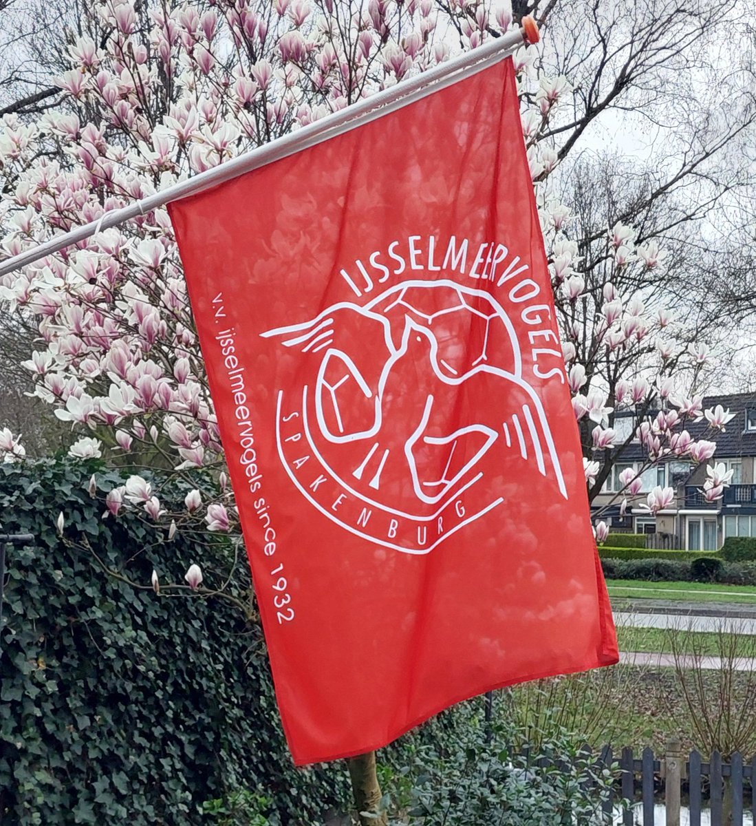 longbert's tweet image. Vandaag worden de bloemetjes buiten gehangen. 

NAS - Hoogeveen
Westmaat
15.00 uur