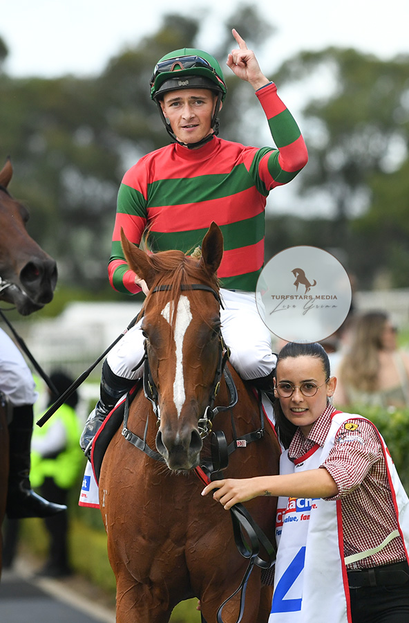 TURFSTARS Media tweet media
