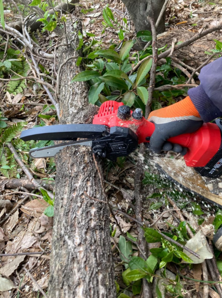 NARVIKチェーンソーは環境にやさしい選択肢です！電気で動作し、排気ガスも少ないんです。#NARVIK #環境配慮