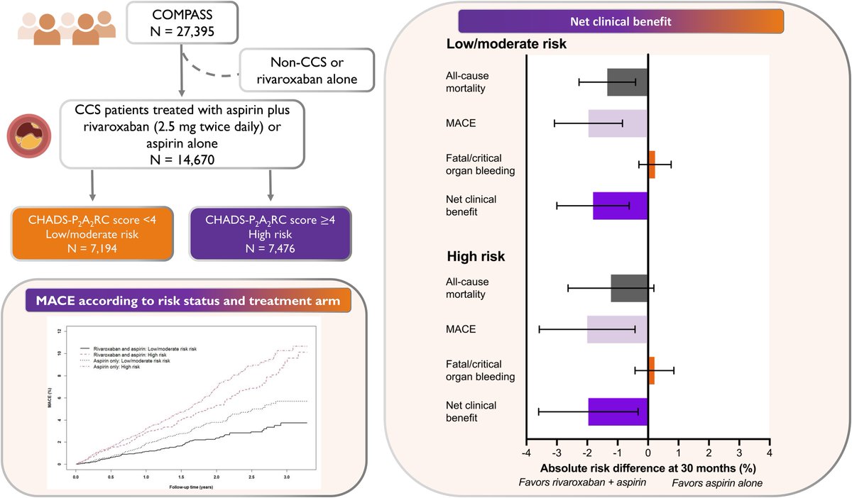 Net clinical benefit of #DPI with low-dose #rivaroxaban consistently observed in CAD patients at low, moderate or high CV risk: Data from the COMPASS trial in #EHJPharmacotherapy 👉 bit.ly/3TKFztf @DLBHATTMD @mirvatalasnag @FeliceGragnano @EditorEHJCVP