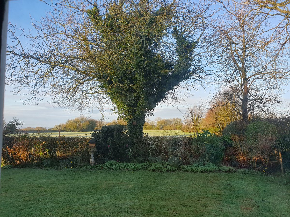 bogtrotter99's tweet photo. Good morning from my temporary abode in Shaftesbury. Am here for the @ShaftesBookFest. The owners left a lovely list of all the birds they've seen in this garden. So I'm in for a day of writing, reading, and listening and I can't wait. #readingtheland https://t.co/wlxI0P0IV1