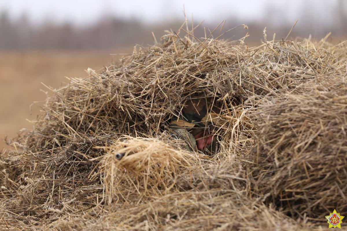 VirtualBrest's tweet image. Белорусские военные отрабатывают засады во время проверки боеготовности 

virtualbrest.ru/news129095.php

Вооруженные Силы Беларуси продолжают проверку боевой готовности, в том числе используют минометы, артиллерию и беспилотники. Личный состав одного из подразделений в рамка 
#brest_by