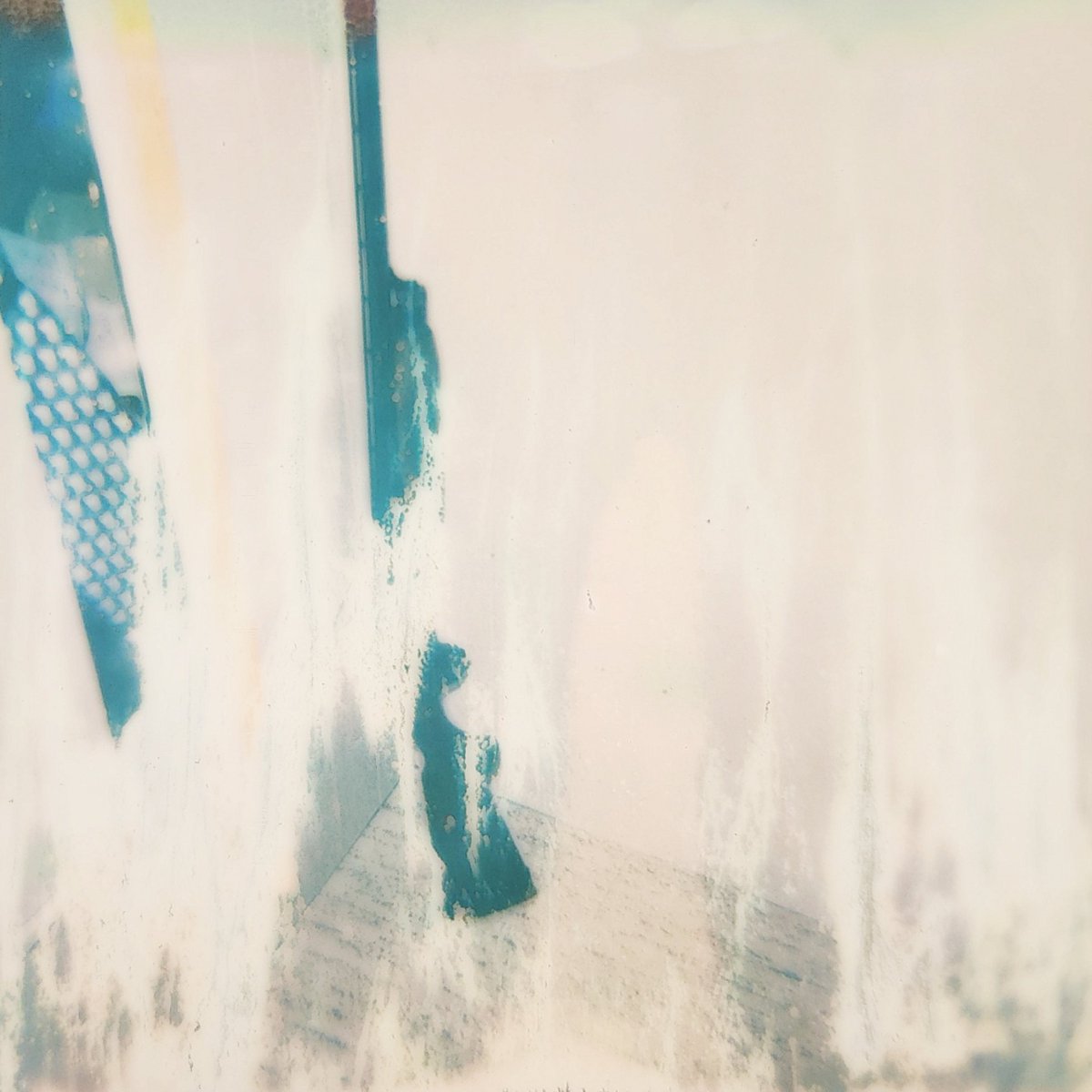 SilverFire15's tweet photo. Polaroid Color 600. https://t.co/kiqZnV9YpS