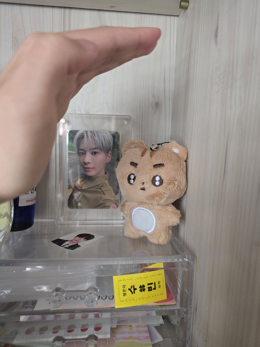 txtlove_th's tweet image. 라자다태현양도
배미포 5.5 양도합니다 
3/ 16일 까지만 양도하고 
내려요  3/17일에 바로 배송해드려요
모든 인증가능 디엠 알람 안울려요 
멘션 주시고 뎀 주세요
#투바투포카양도 #투바투인형 txt 수빈 연준 태현 휴닝카이 범규 포토카드 양도