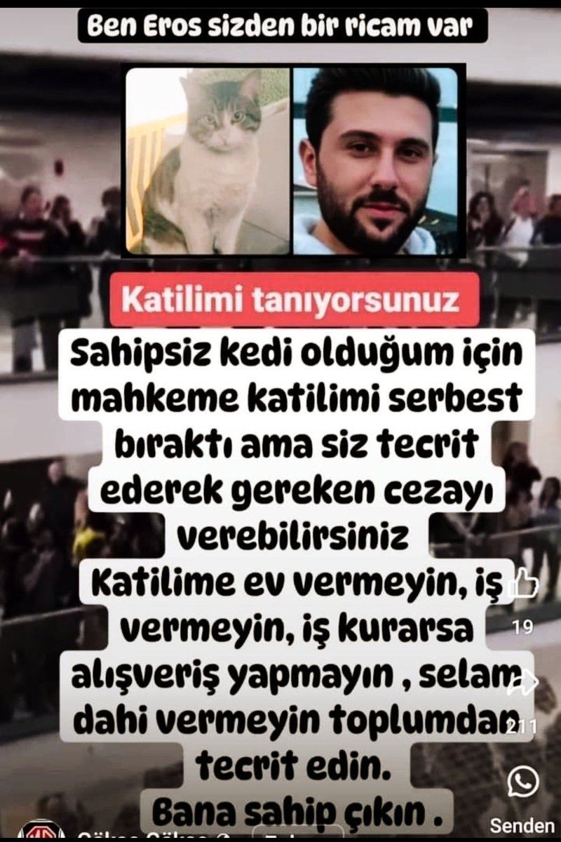 Edanbey's tweet photo. #ErosunKatiliDışarıda #ErosİçinAdalet #KediEros #katil https://t.co/TVO2XufAJS