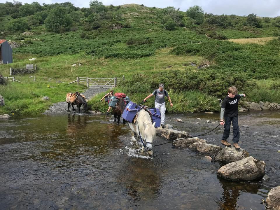 This #EnglishTourismWeek24 we’re celebrating the incredible experiences available here. First up, our pals Fell Pony Adventures, will take you on a unique, wild camping experience into the valleys & fells, accompanied by native Cumbrian Fell Ponies: bit.ly/FellPonyAdvent…