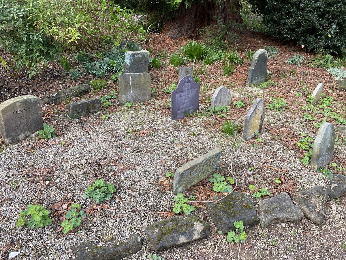 I stumbled across this pet cemetery yesterday, with its memorial to funny little Flo. Now excuse me, but I think I have something in my eye…