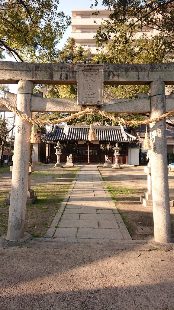 Zenith_Origin's tweet image. 春日神社にあるトリイ・ゲート

水平平行を意識し、出来るだけ歪みねぇように撮った。

 #写真好きな人と繫がりたい  #Xperiaphotography
