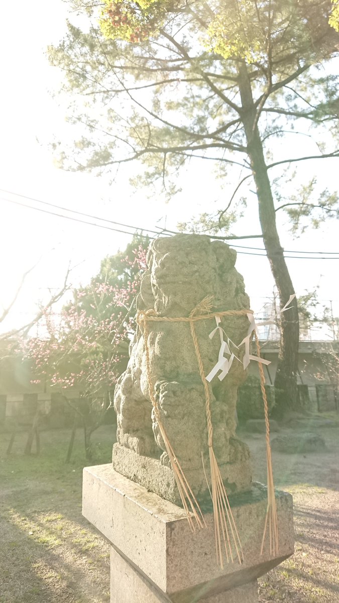 Zenith_Origin's tweet image. 春日神社にあるトリイ・ゲート

水平平行を意識し、出来るだけ歪みねぇように撮った。

 #写真好きな人と繫がりたい  #Xperiaphotography