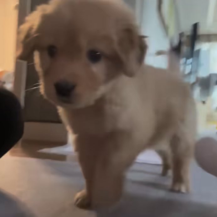 ห้องน้ามไปทางไหนคับ 🥺